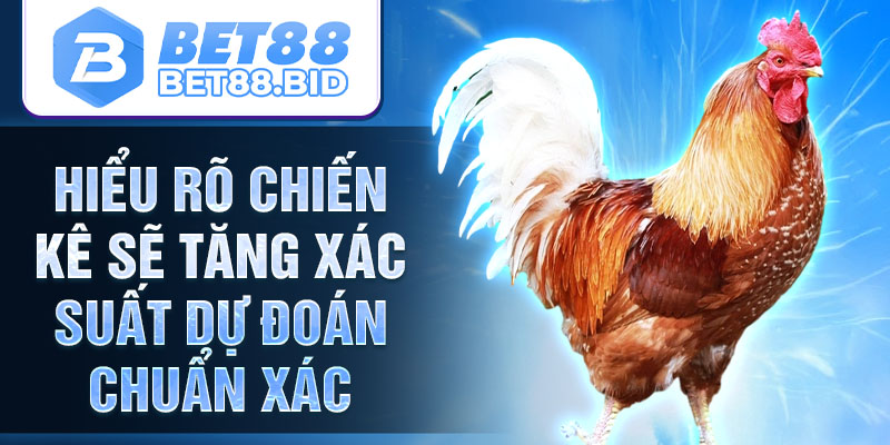 Hiểu rõ chiến kê sẽ tăng xác suất dự đoán chuẩn xác